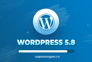 Вышел WordPress 5.8. Что нового?