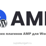 8 лучших AMP плагинов для WordPress