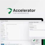 Seraphinite Accelerator 2.22.11 Premium