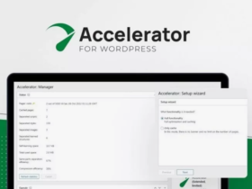 Seraphinite Accelerator 2.22.11 Premium