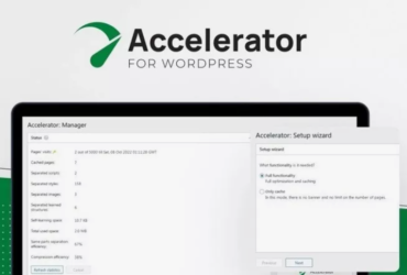 Seraphinite Accelerator 2.22.11 Premium