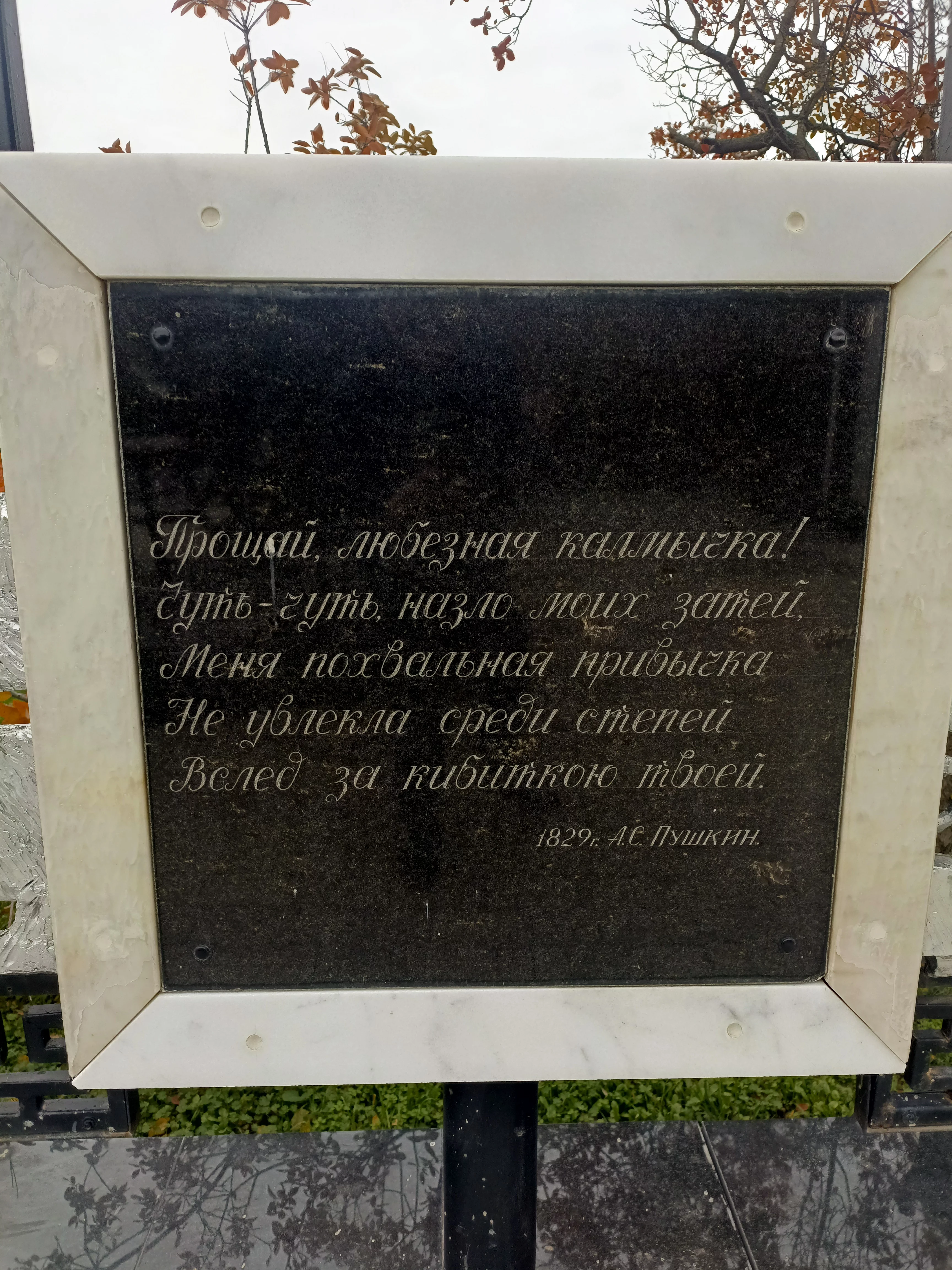 IMG 20251102 103846 701