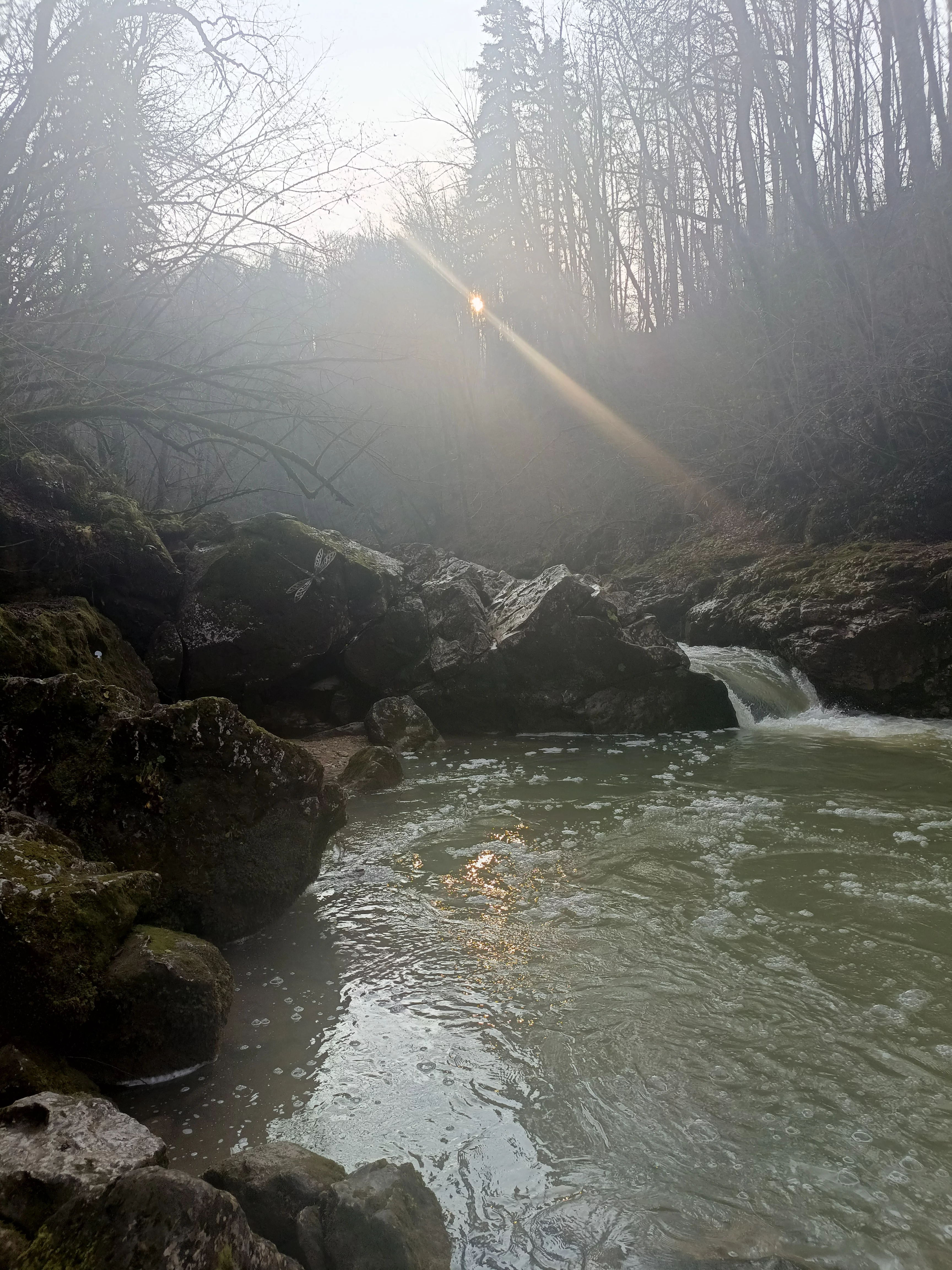 IMG 20251115 145013 608