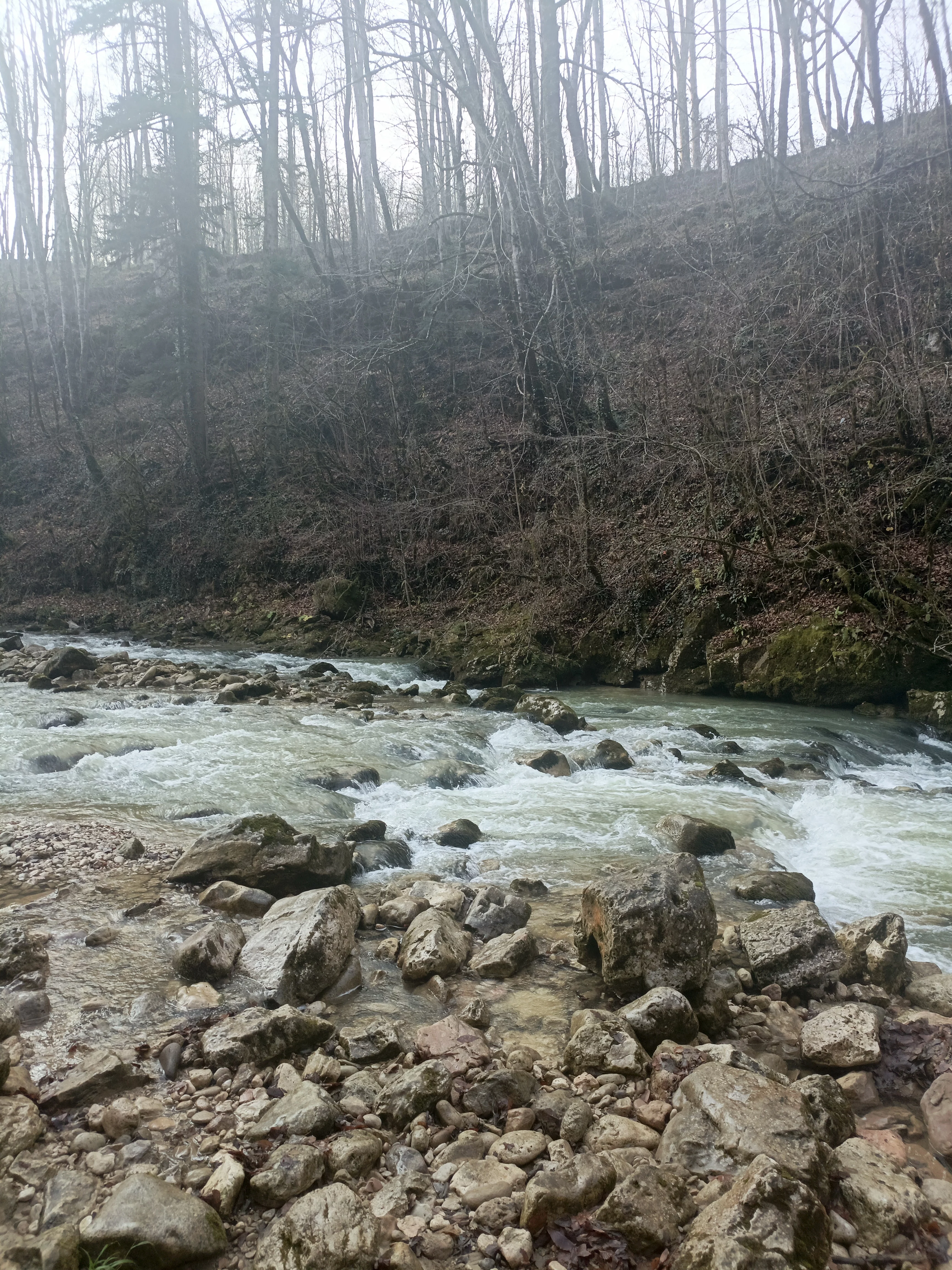 IMG 20251115 145304 770