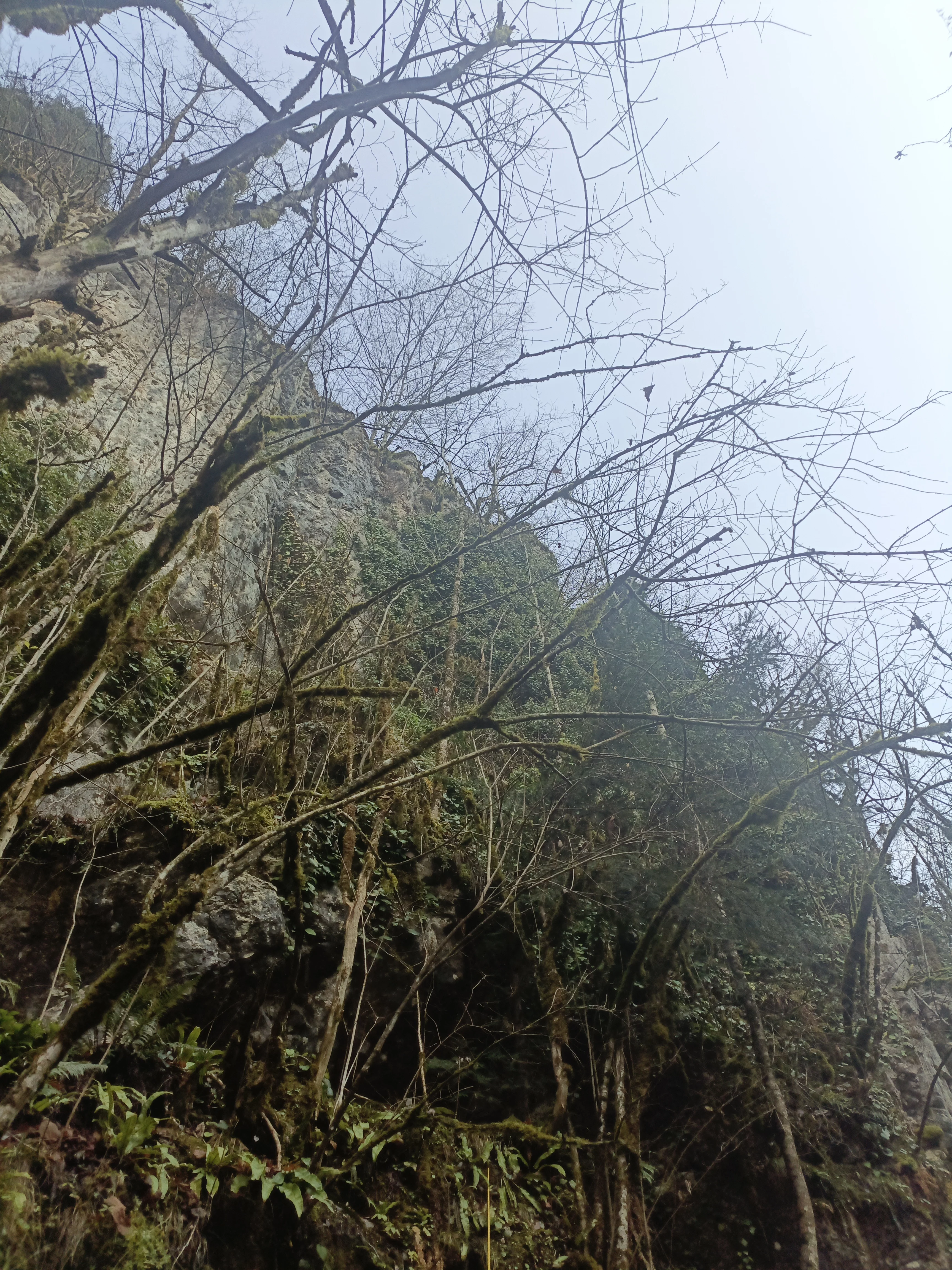 IMG 20251115 145854 485